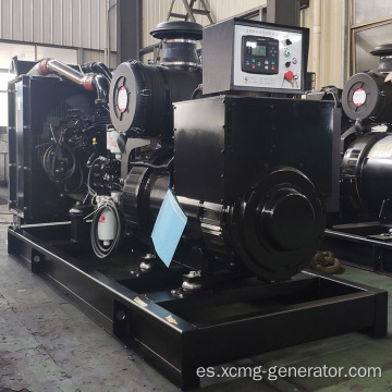 Conjunto de generador de energía diesel eléctrico de 30kVA